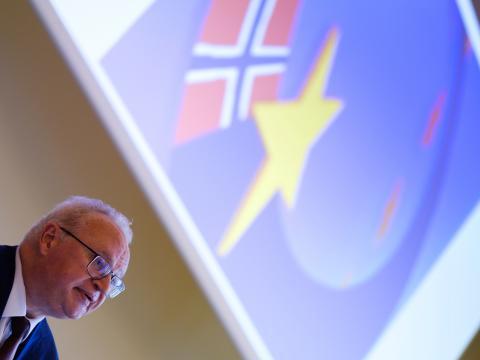 Íslensk forysta albjóõadómstóla: Reynsla, áskoranir og framtíðarsýn
